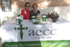 zaecc_Bermejales